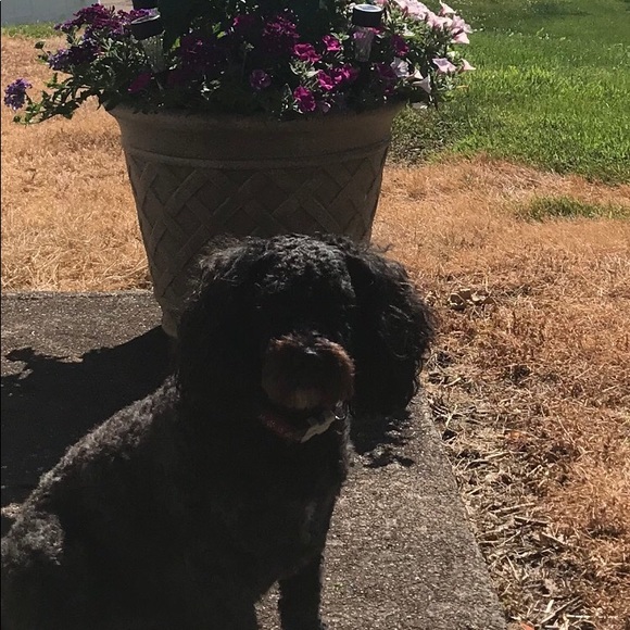 Meet your Posher, Megan - Picture 9 of 10